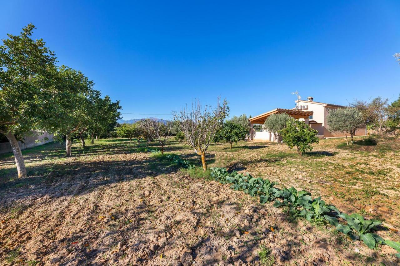 Son Allarga Costitx (Mallorca)